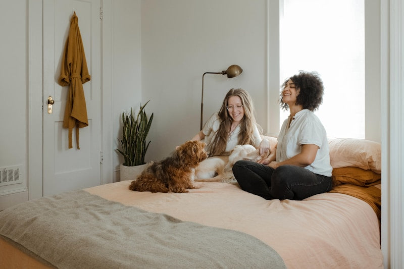 Dog Training and Behavior