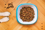 Premium Grain-Free Dog Food