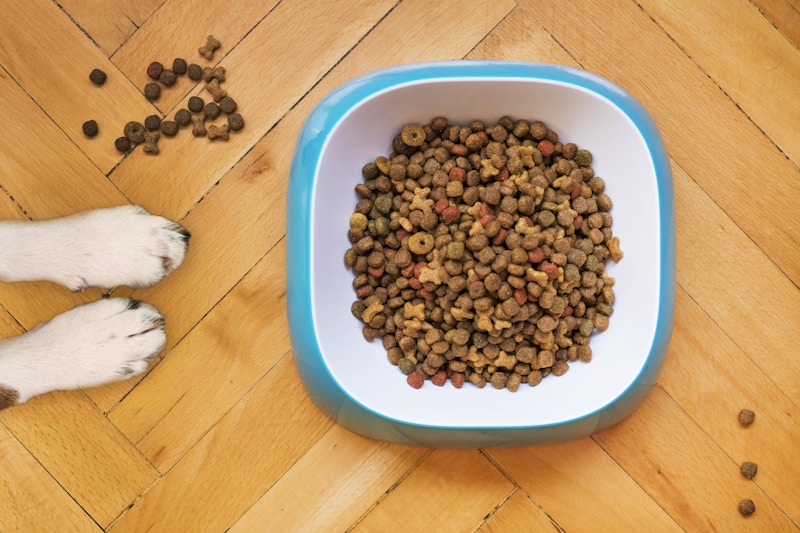Premium Grain-Free Dog Food